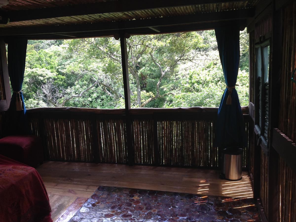 Mamallena Eco Lodge La Laguna de San Carlos Exterior foto